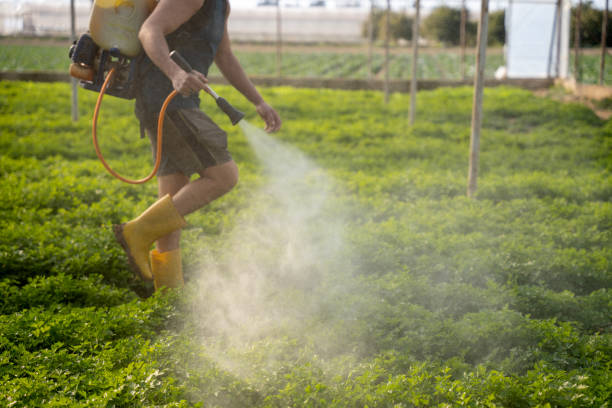 Best Best Pest Control Companies  in Contra Costa Centre, CA