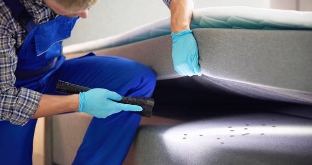 Best Commercial Pest Control Services  in Contra Costa Centre, CA