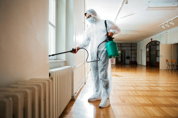 Best Wasp Removal Services  in Contra Costa Centre, CA