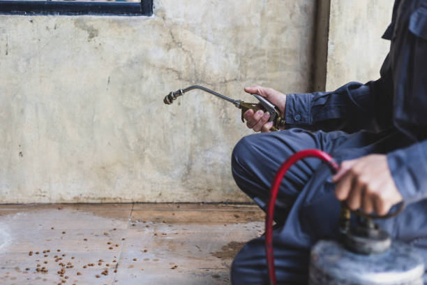 Best Termite Control Services  in Contra Costa Centre, CA